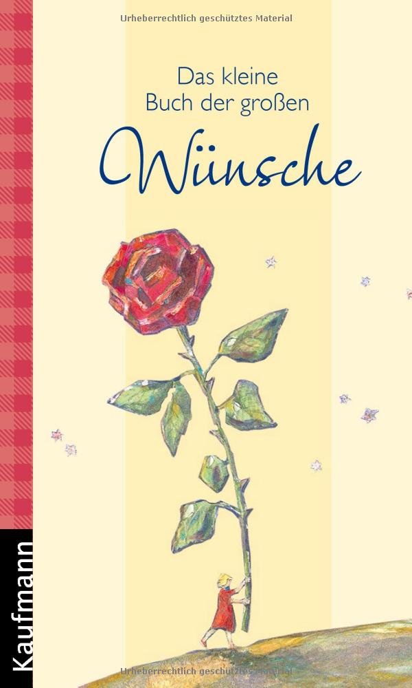 Das kleine Buch der großen Wünsche Contemporary literature
