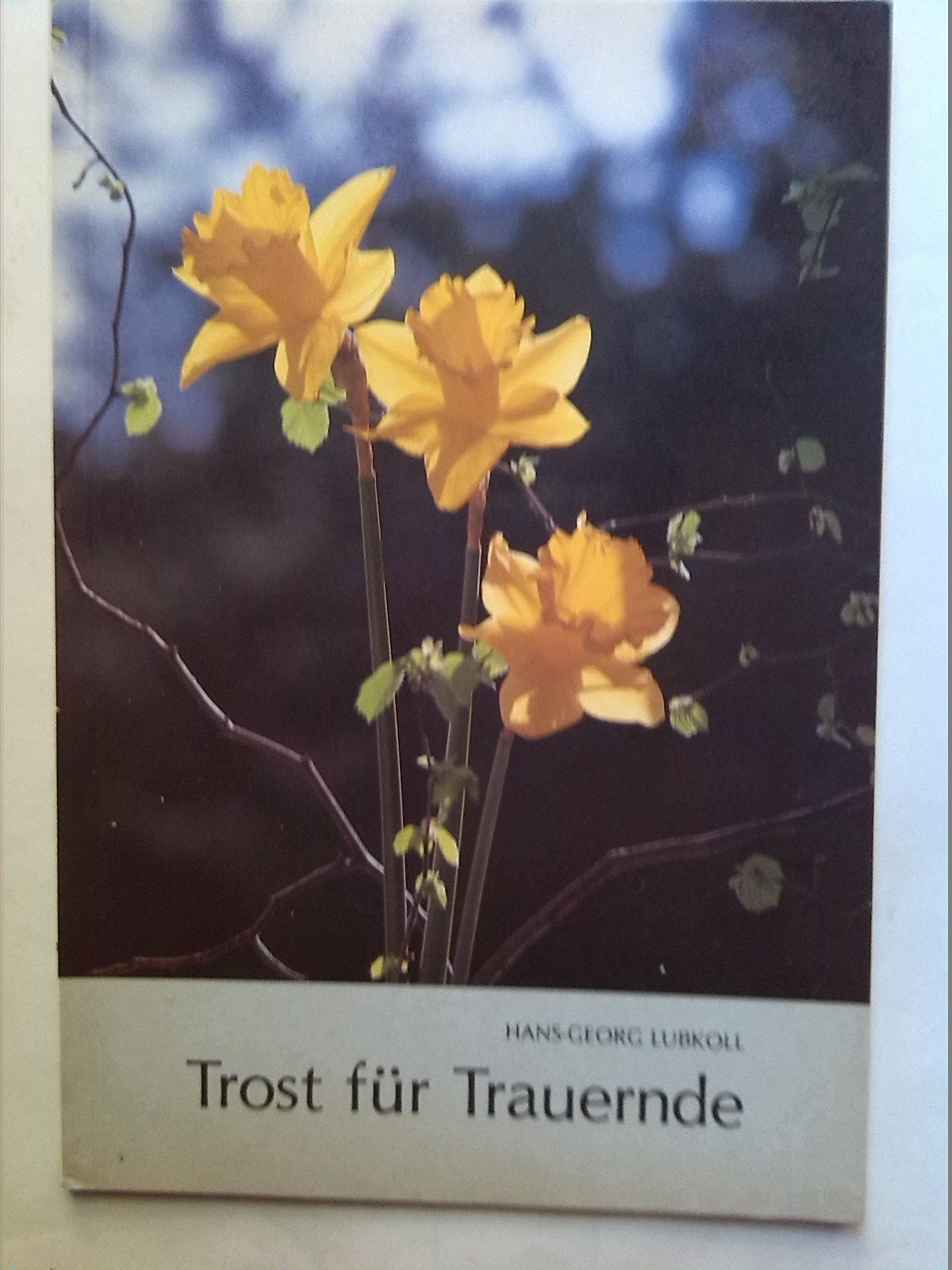 Trost für Trauernde Religion & Esotericism