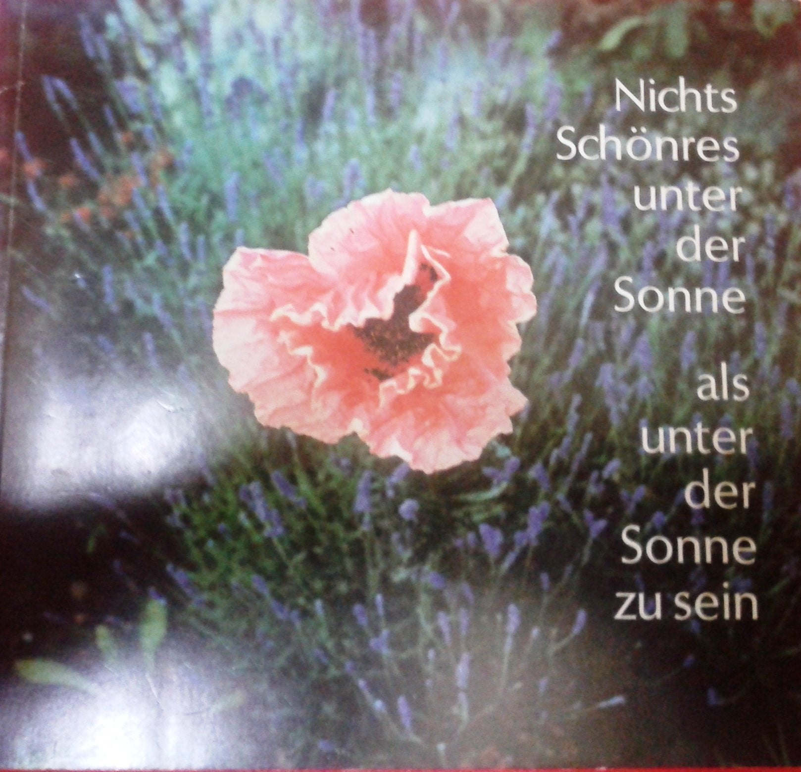 Nichts Schönres unter der Sonne, als unter der Sonne zu sein Film, Art & Culture