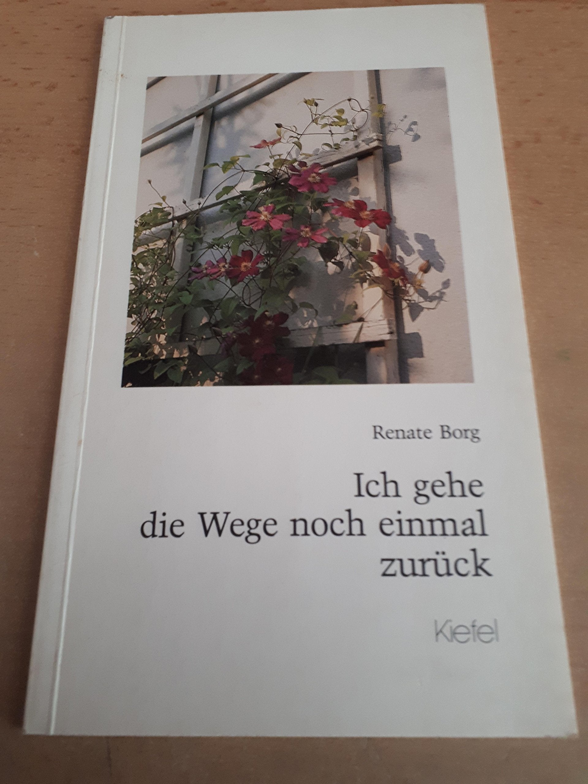 Ich gehe die Wege noch einmal zurück. Betrachtungen für ältere Leser Books