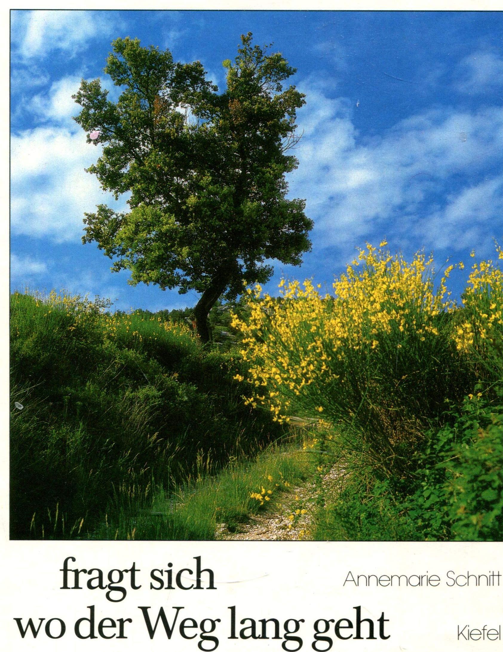 Fragt sich wo der Weg lang geht Books