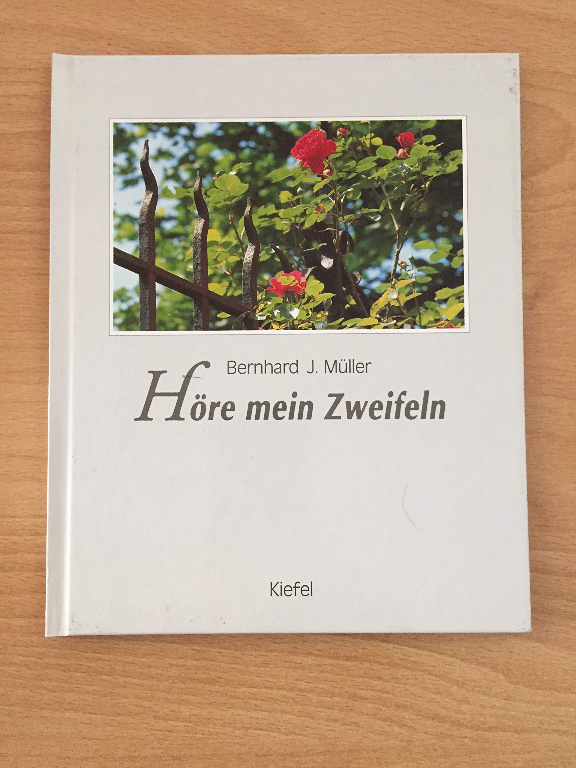 Höre mein Zweifeln. Betrachtungen und Gebete Books