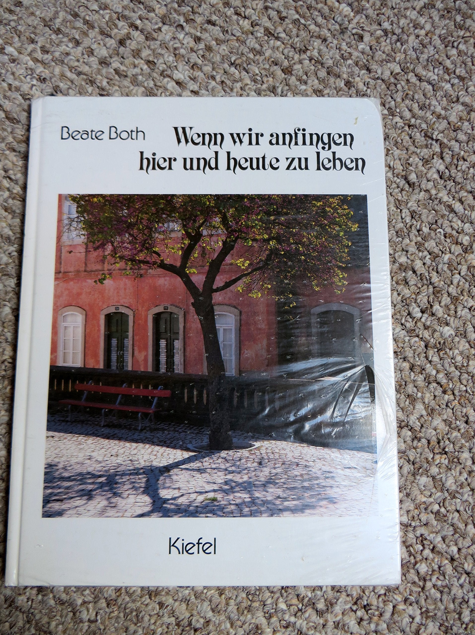 Wenn wir anfingen hier und heute zu leben. Beispielgeschichten aus aller Welt Books
