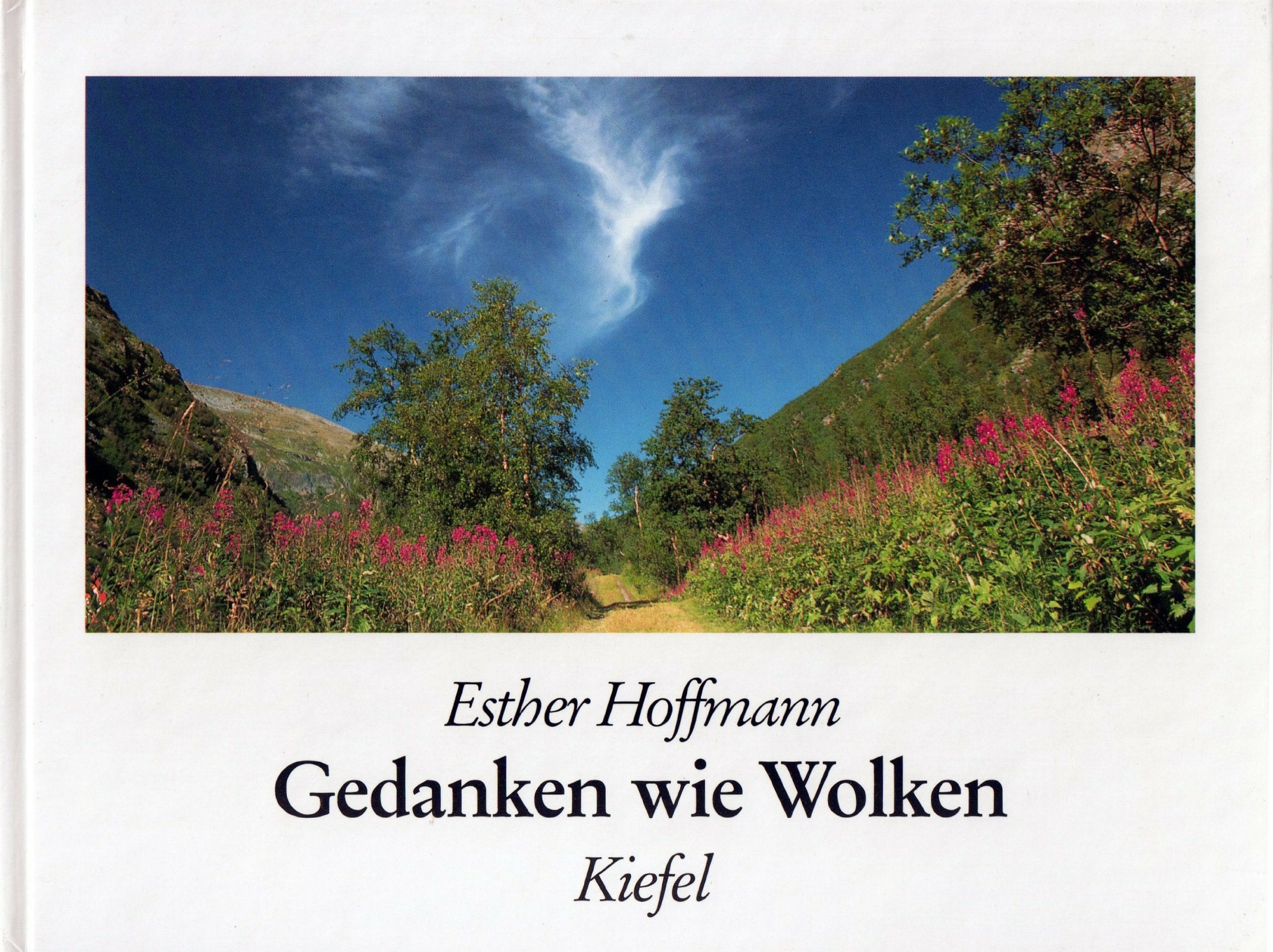Product Image: Gedanken wie Wolken