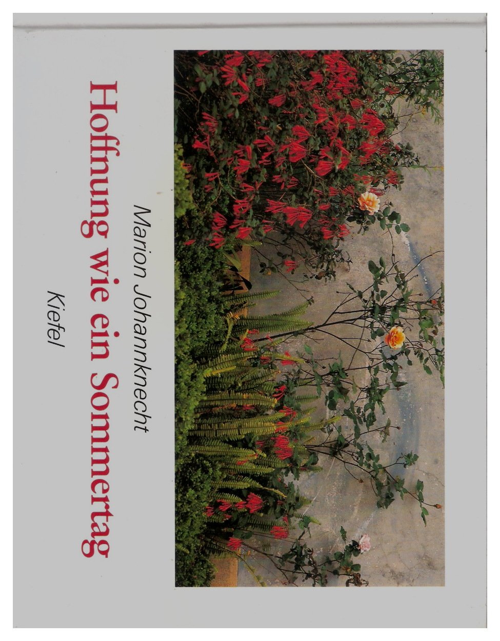 Hoffnung wie ein Sommertag Books