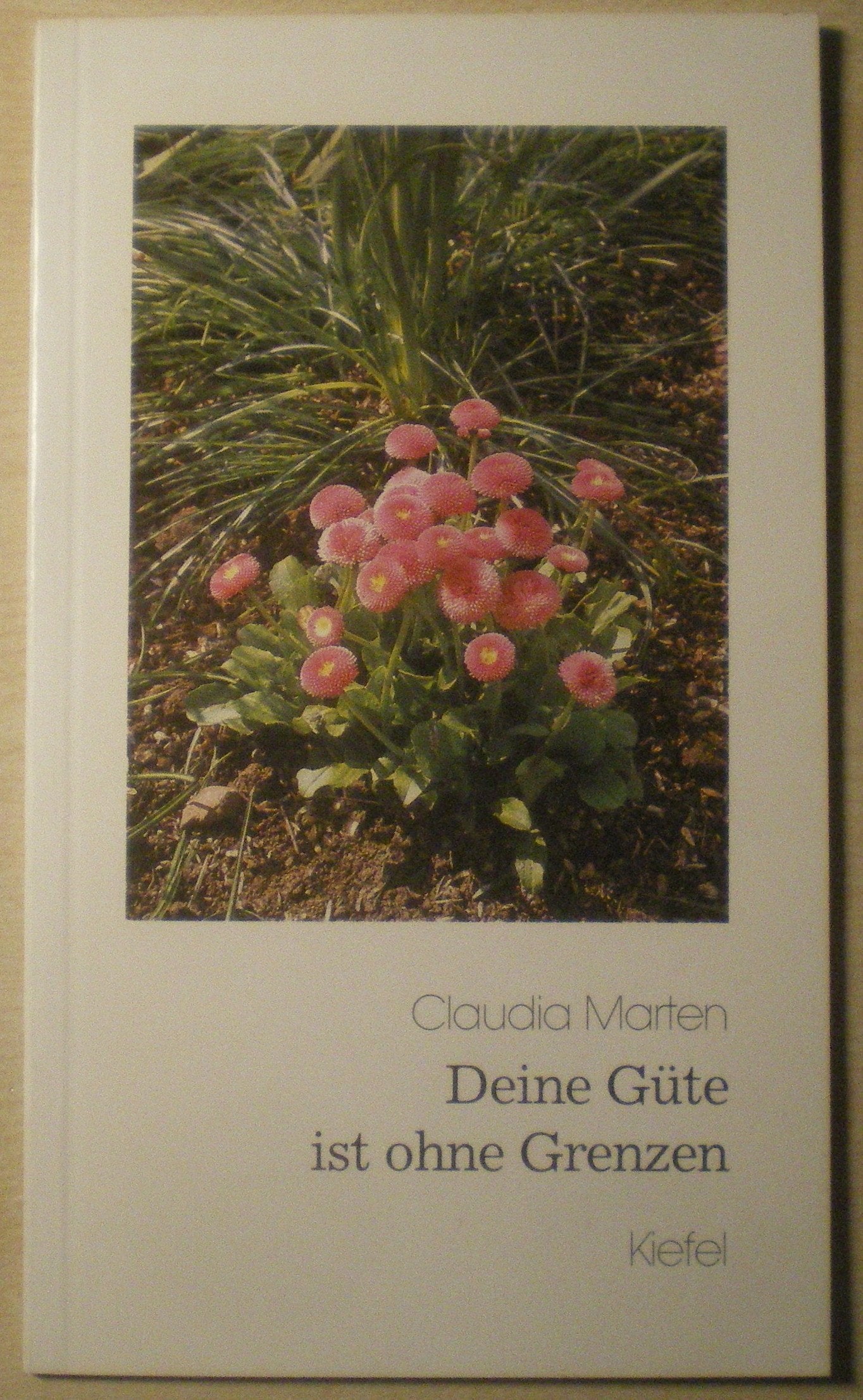 Deine Güte ist ohne Grenzen. Ein Krankengruß Books