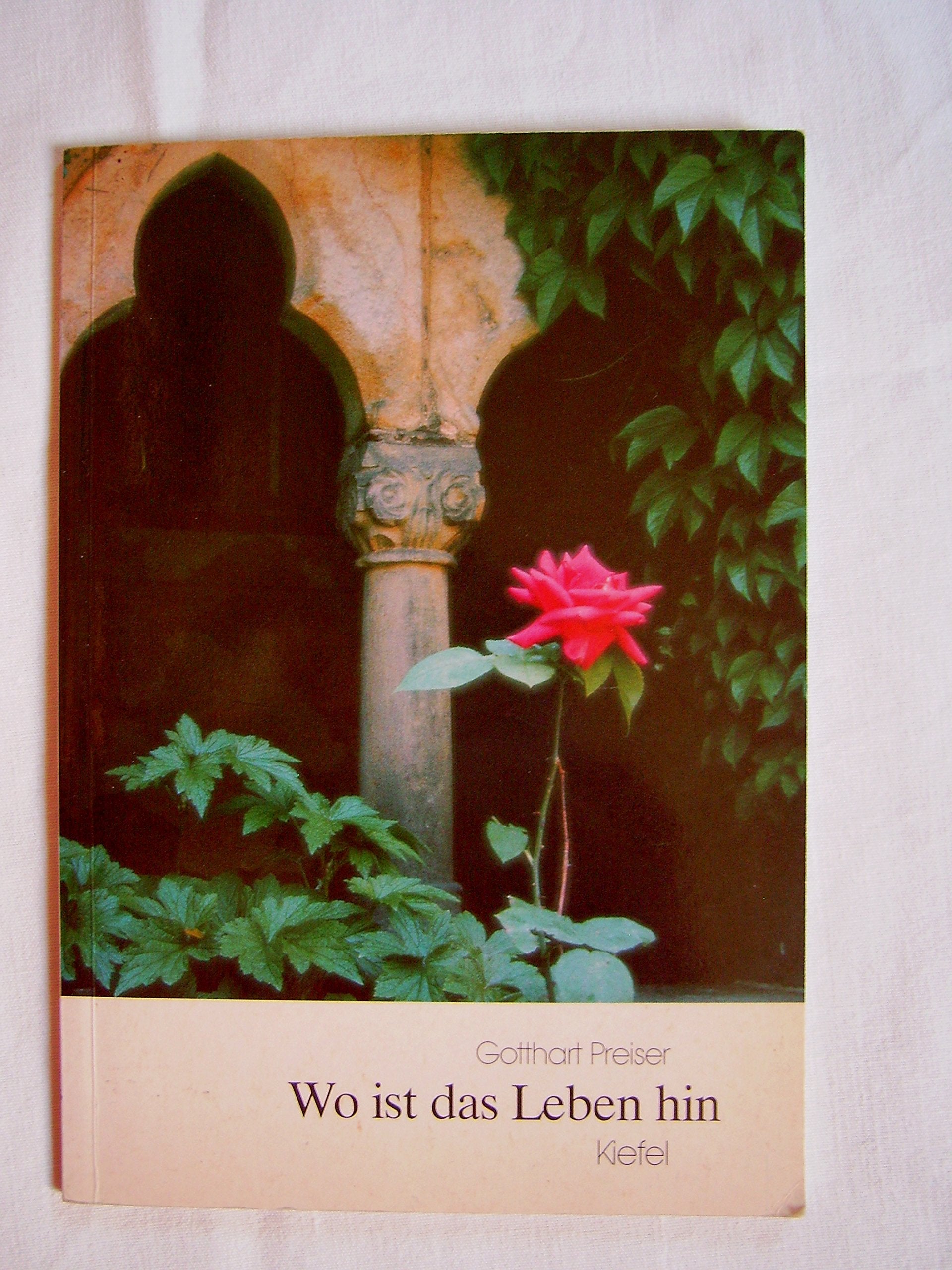 Wo ist das Leben hin. Trost für Trauernde - Gotthart Preiser book