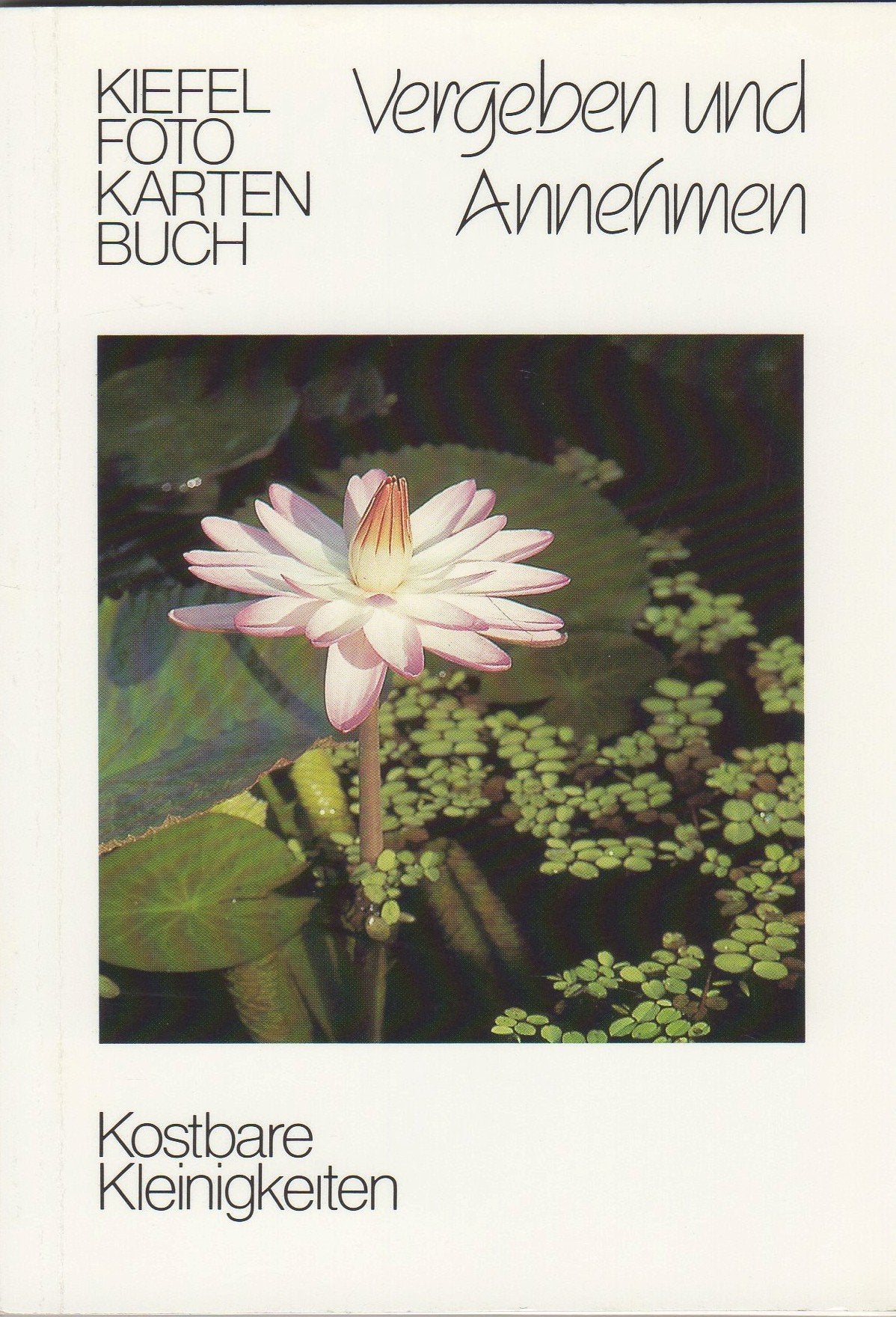 Vergeben und Annehmen (Kiefel-Foto-Kartenbücher / Kostbare Kleinigkeiten) Books