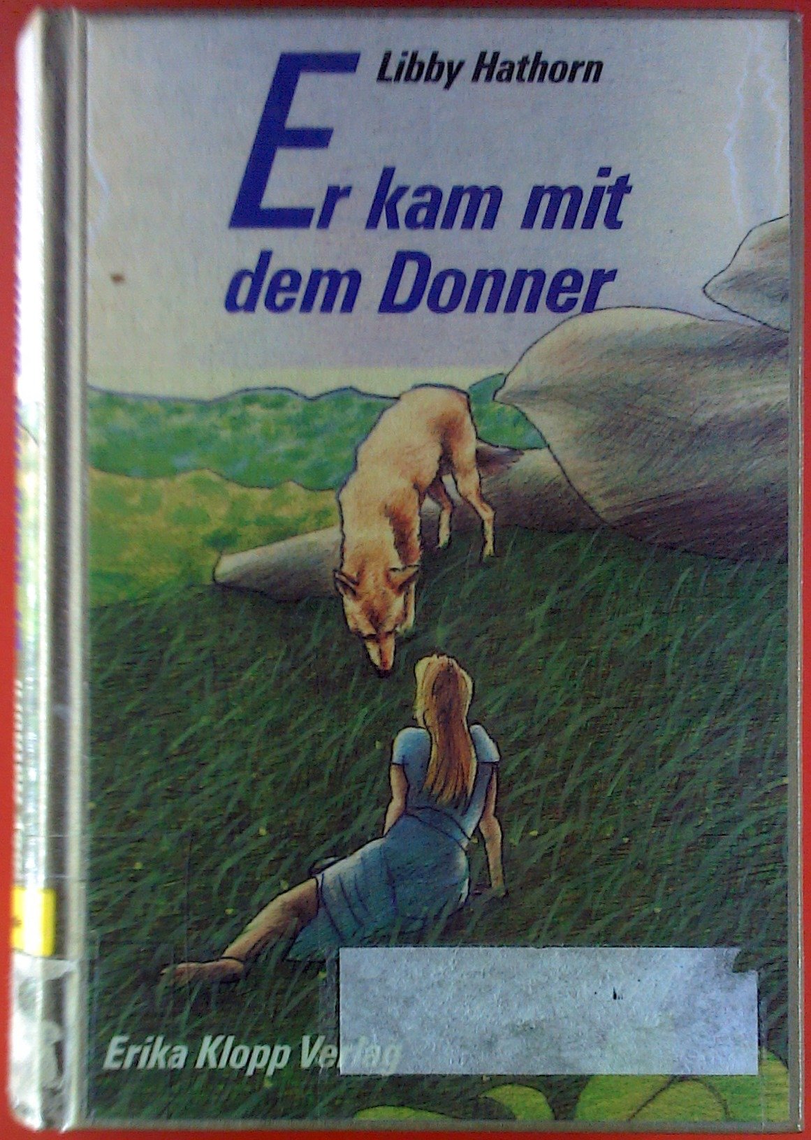 Er kam mit dem Donner. ( Ab 12 J.) Books