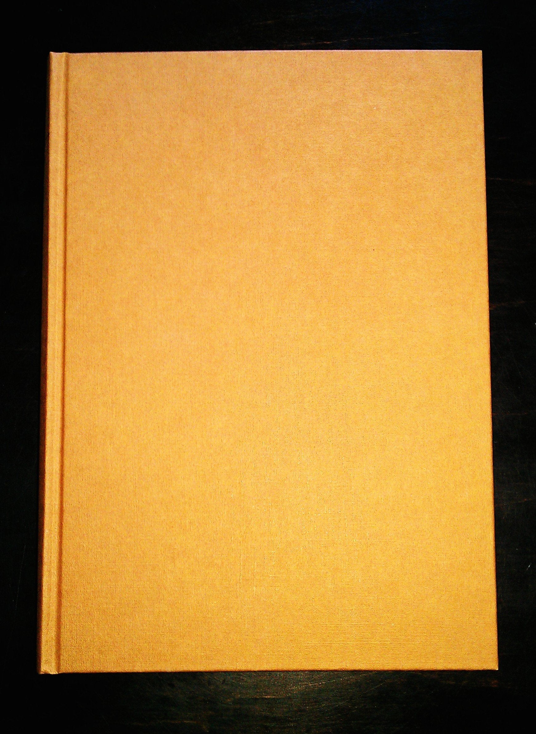 Die Bischofskirche Sankt Martin zu Mainz: Mit Beitragen zur Geschichte des Domes und einer bibliographischen Handreichung : Festgabe fur Domdekan Dr. Hermann ... Mainzer Kirchengeschichte) (German Edition) Books
