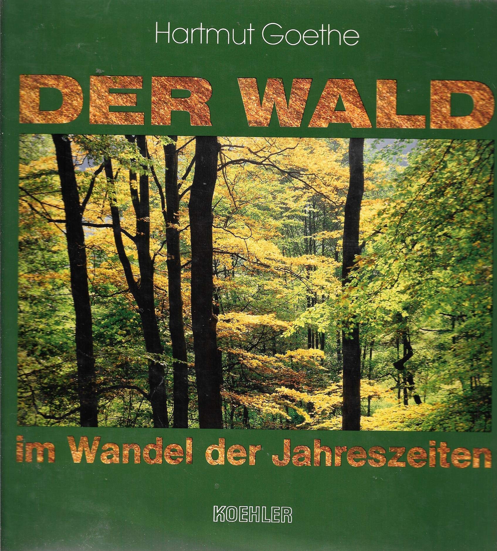 Der Wald im Wandel der Jahreszeiten: Ein Baumbuch aus dem Sachsenwald Books