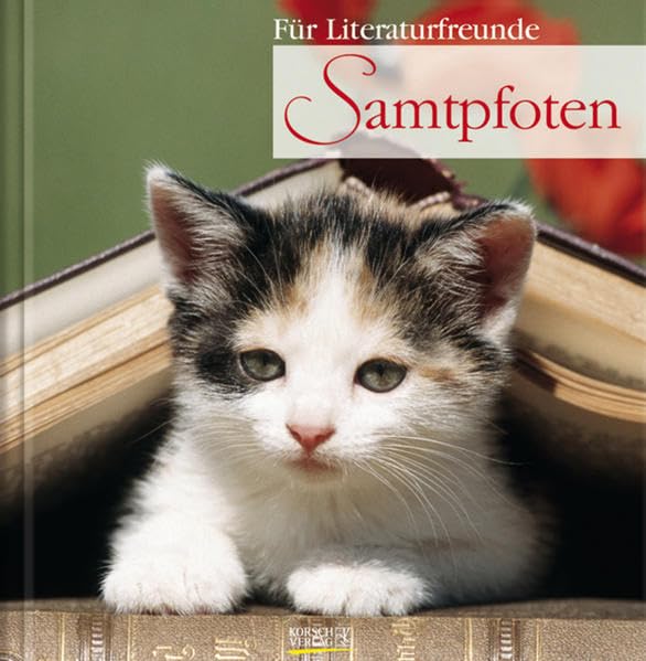 Samtpfoten Lifestyle