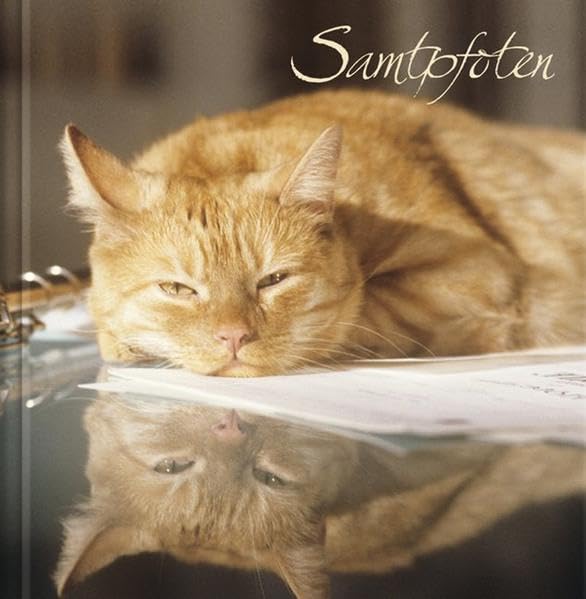 Samtpfoten Pets
