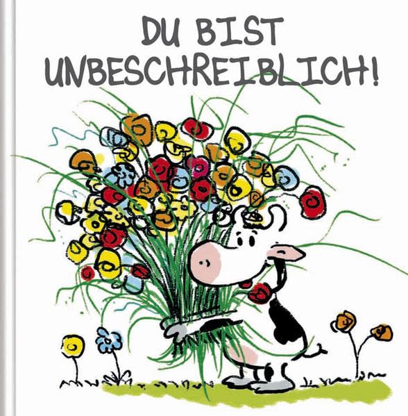 Du bist unbeschreiblich!: Cortoon-Geschenkbuch von Herzem Lifestyle