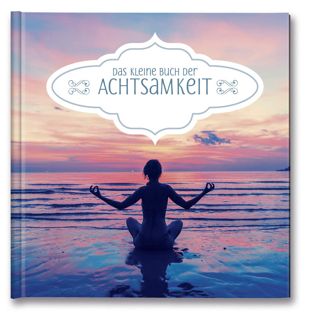 Das kleine Buch der Achtsamkeit book