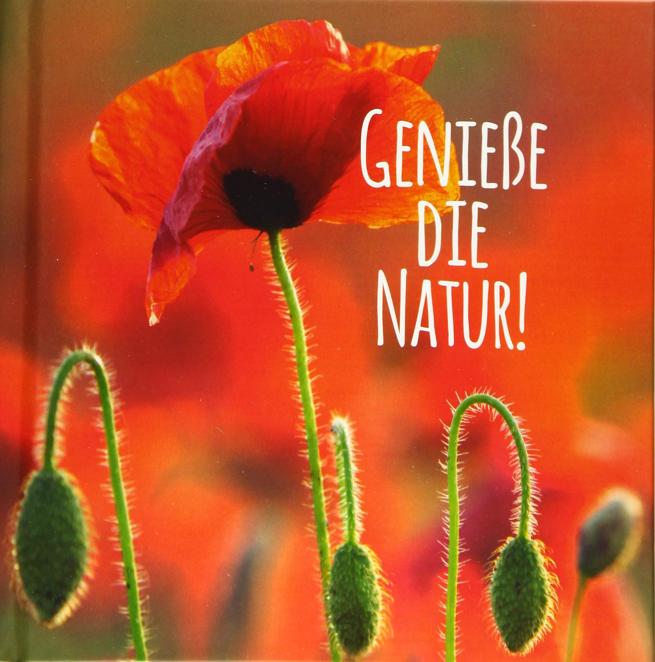 Genieße die Natur! Lifestyle