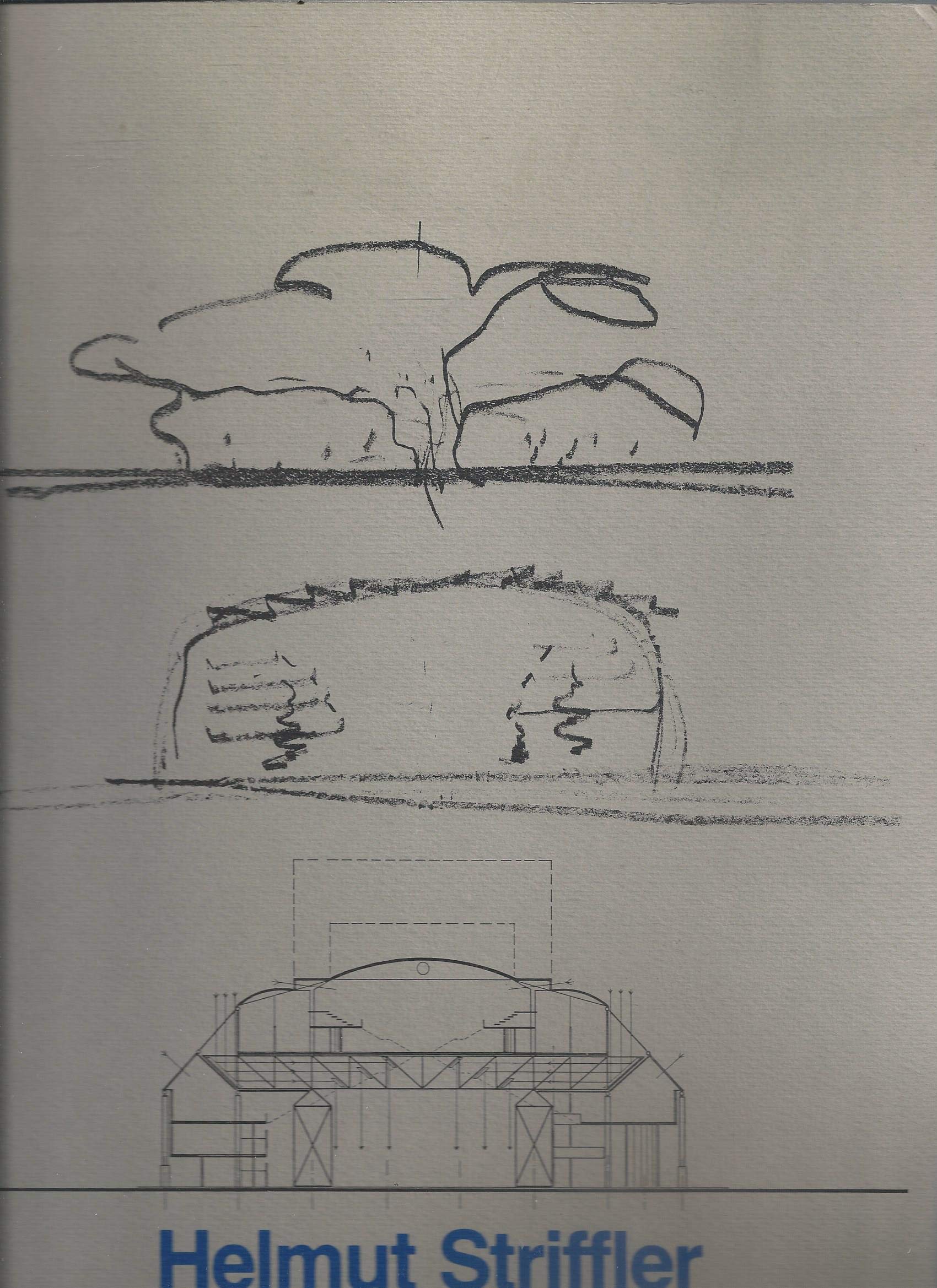 Helmut Striffler. Licht - Raum - Kunst. Eine Ortsbestimmung Architecture