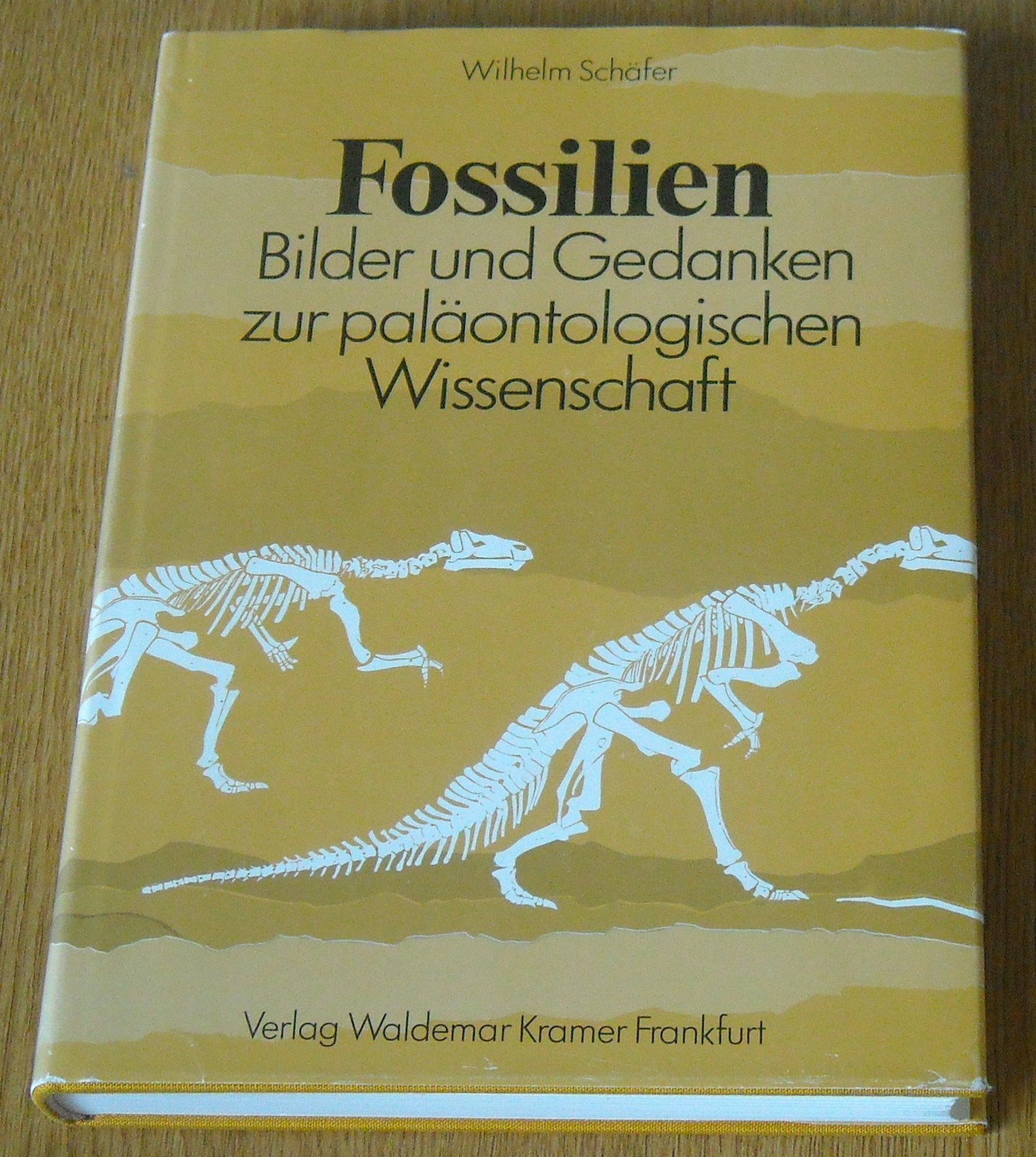 Fossilien. Bilder und Gedanken zur paläontologischen Wissenschaft Business & Technology