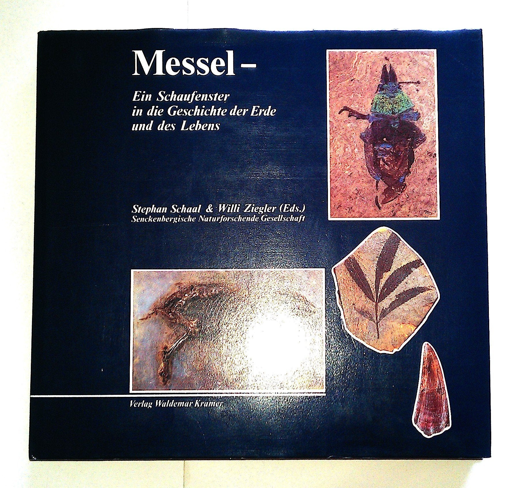 Messel Natural Sciences
