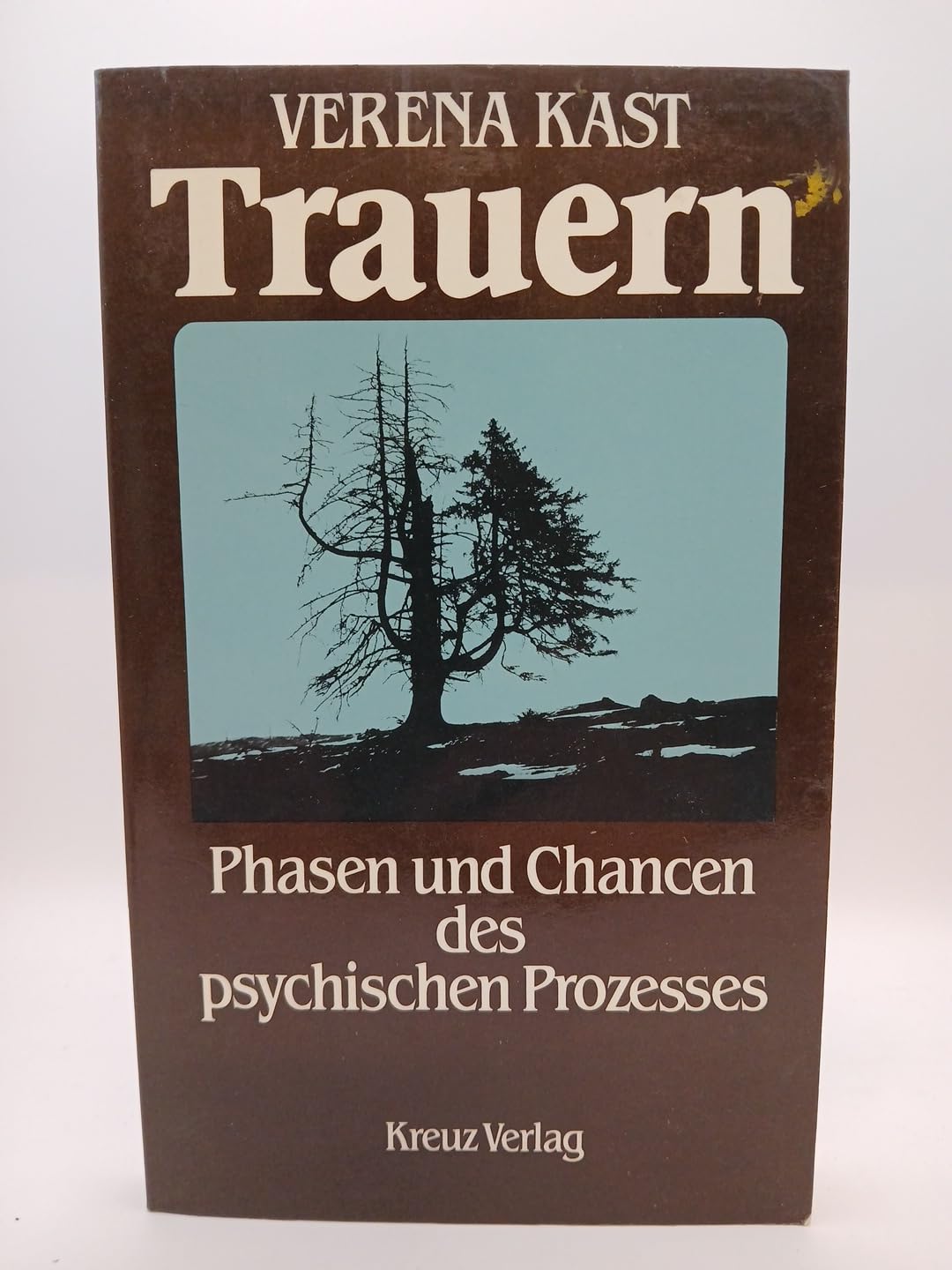 Trauern Psychology Books