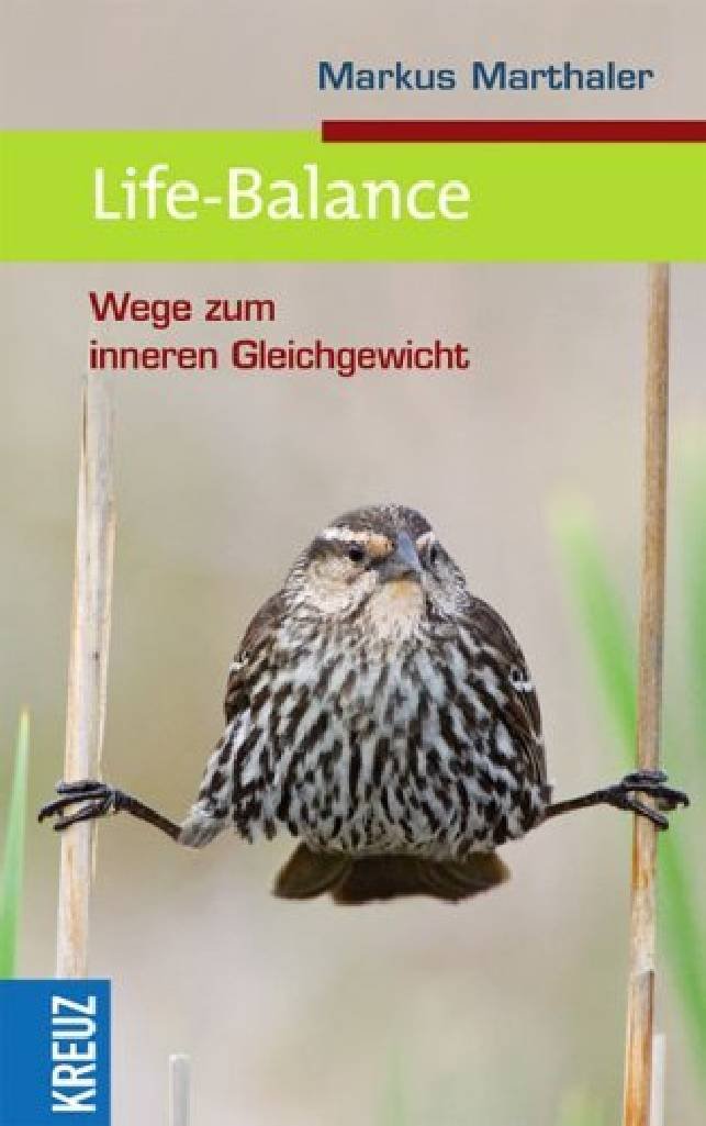 Life-Balance: Wege zu innerem Gleichgewicht Lifestyle