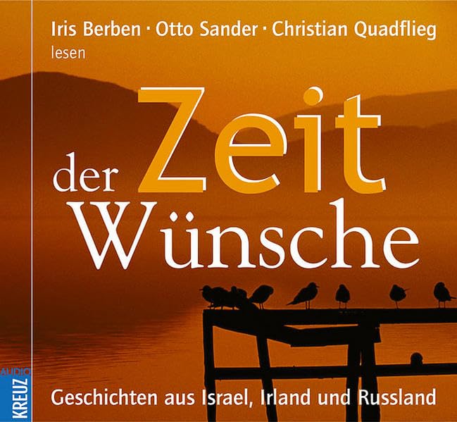 Zeit der Wünsche: Geschichten aus Israel, Irland und Russland Contemporary literature