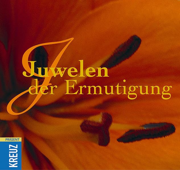 Juwelen der Ermutigung Lifestyle Books