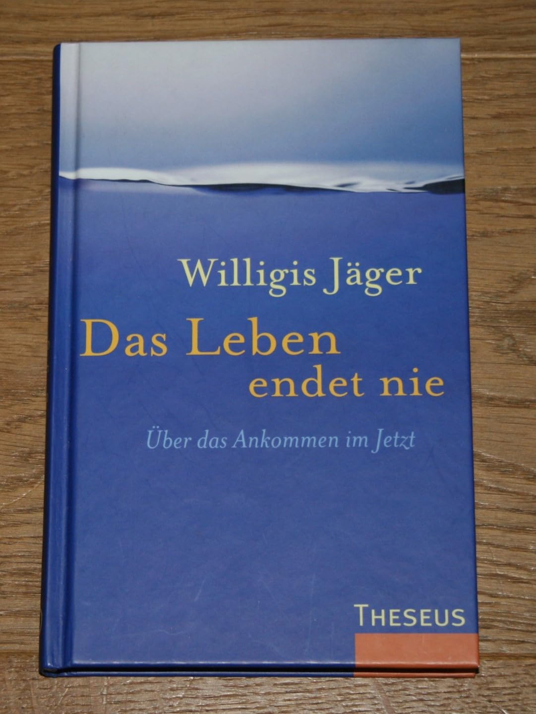 Das Leben endet nie: Über das Ankommen im Jetzt book