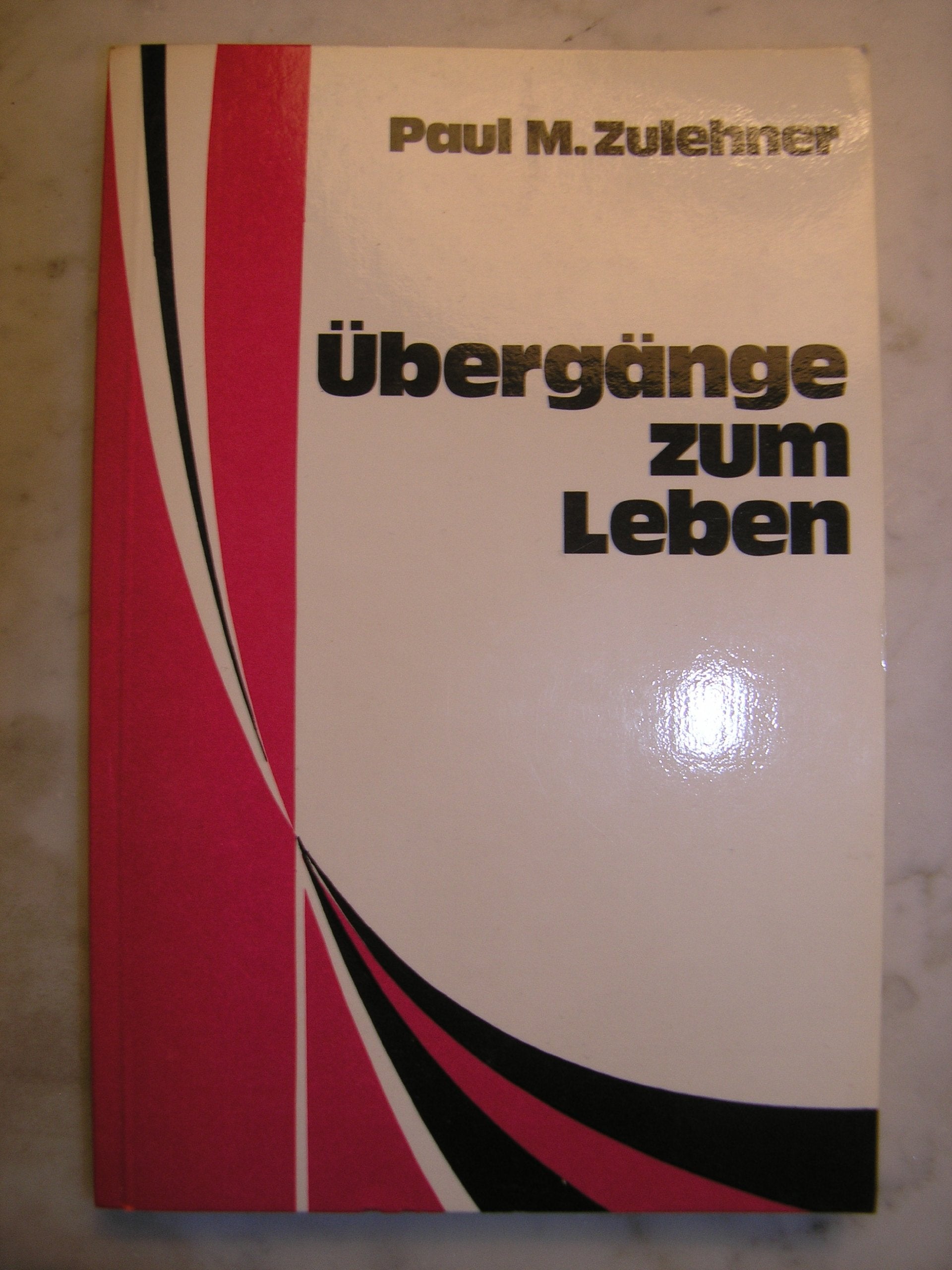 Übergänge zum Leben (Theologie und Leben; 59) Books