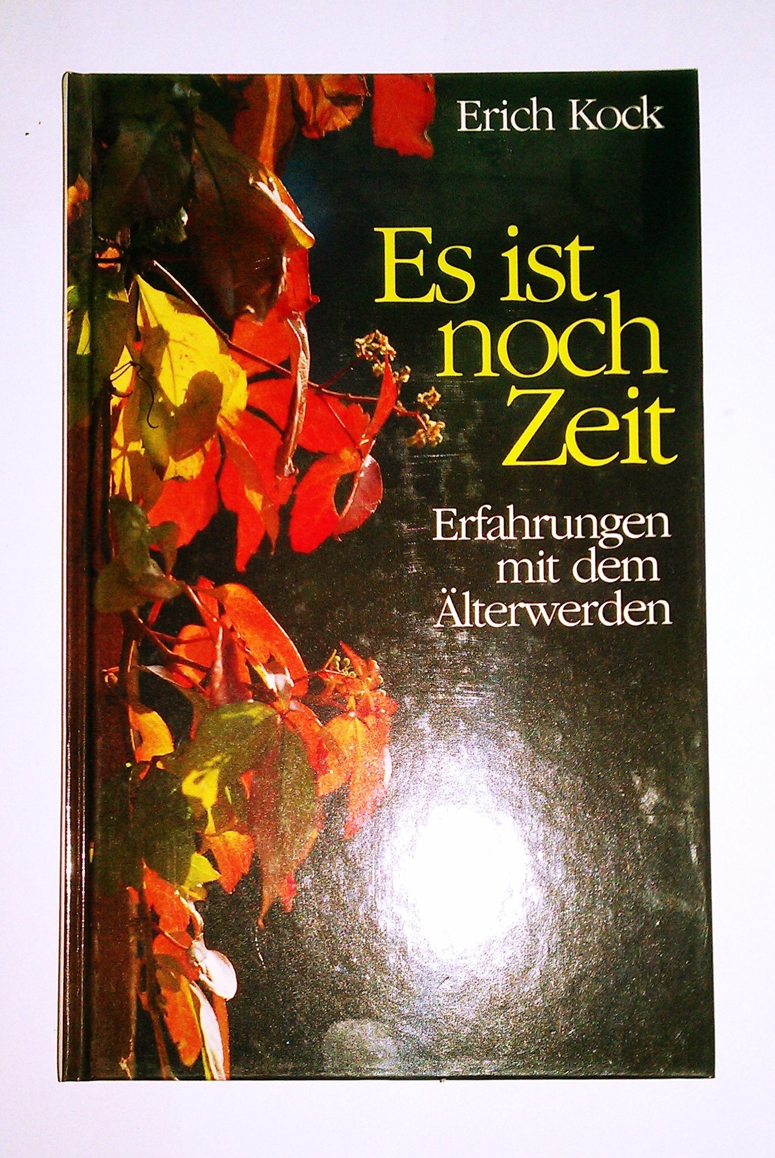 Es ist noch Zeit. Erfahrungen mit dem Älterwerden Books