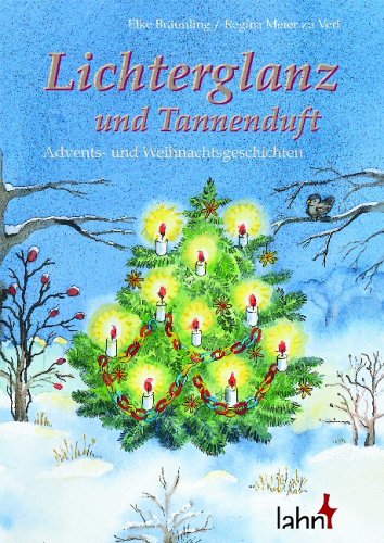 Lichterglanz und Tannenduft: Advents- und Weihnachtsgeschichten Novels & Short Stories