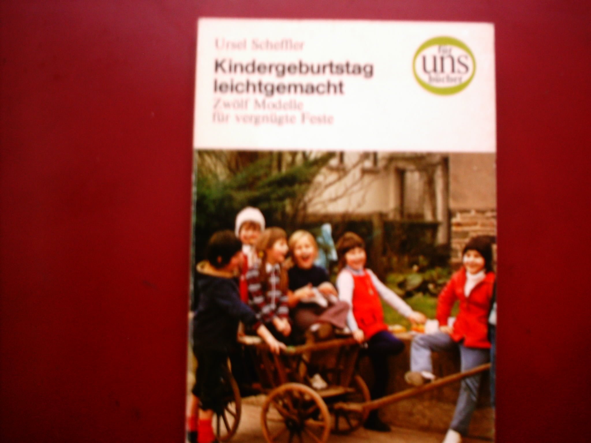 Kindergeburtstag leichtgemacht. 12 Modelle für vergnügte Feste Books