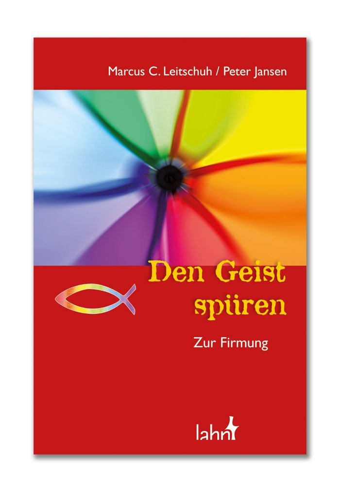 Den Geist spüren: Zur Firmung Non-fiction