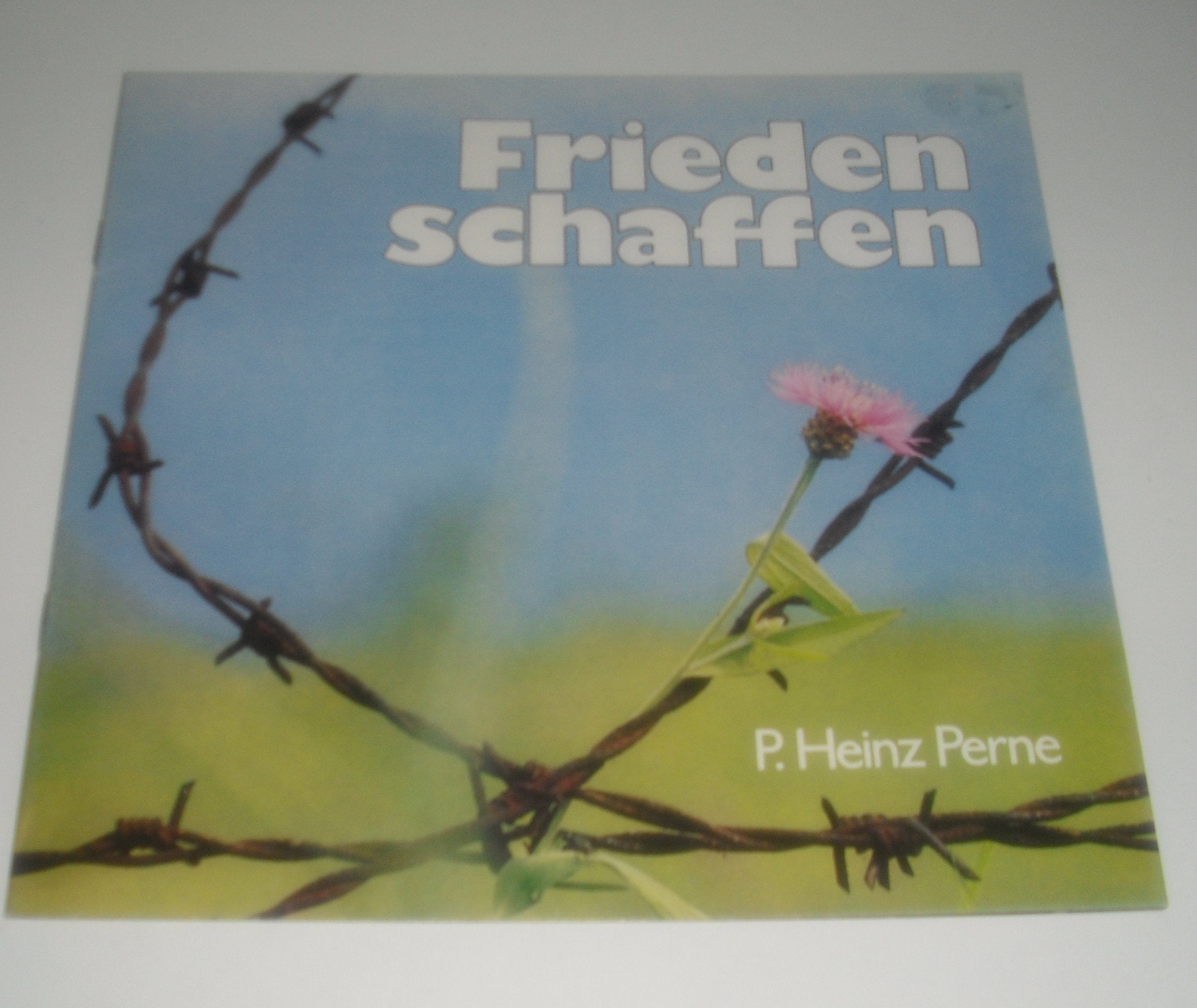 Frieden schaffen (Bildtexthefte) Lifestyle Books