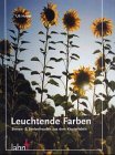 Leuchtende Farben: Sinnen & Seelenfreude aus dem Klosterleben Religion & Esotericism