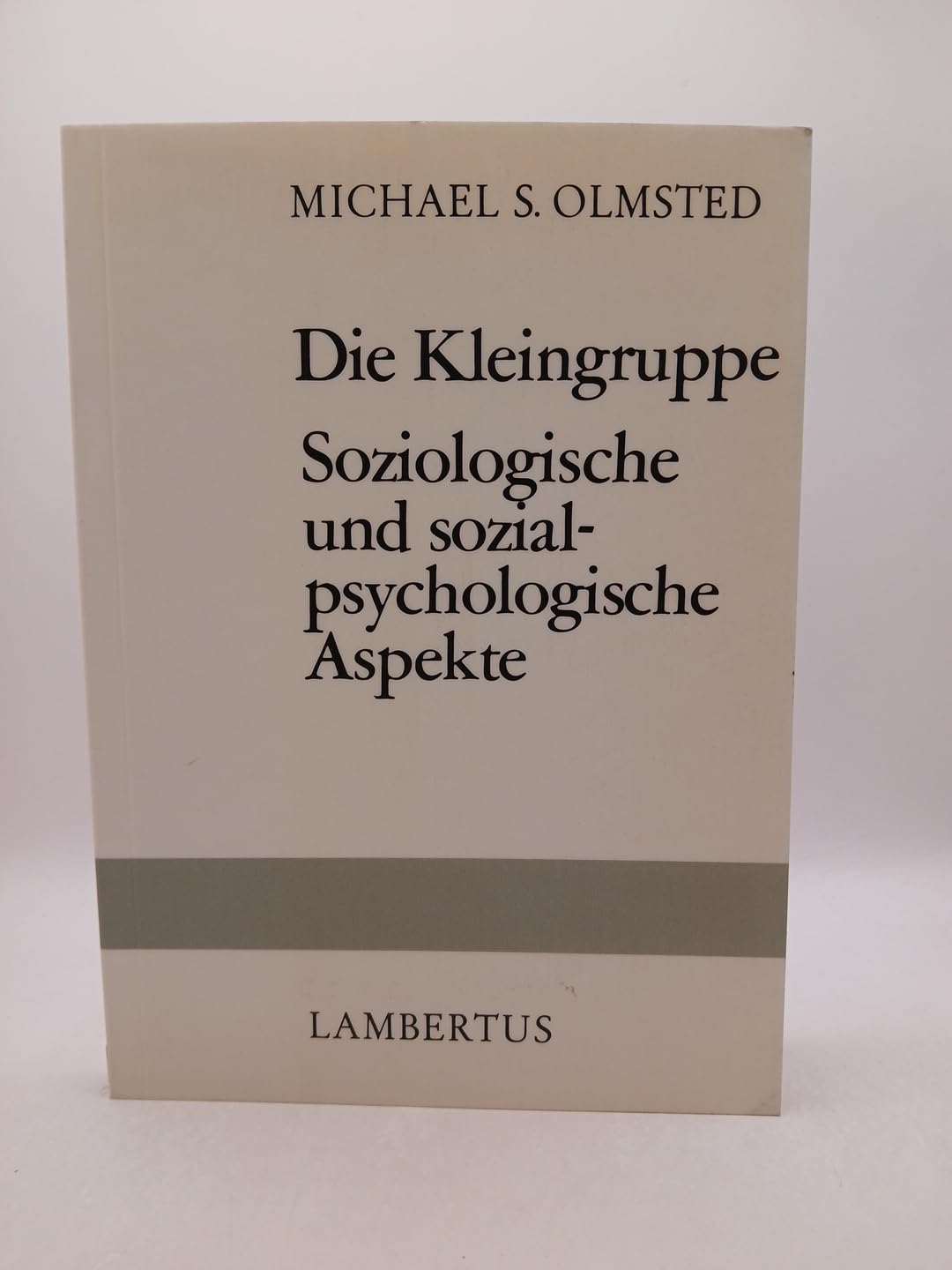 Die Kleingruppe. Soziologische und sozialpsychologische Aspekte Social Sciences
