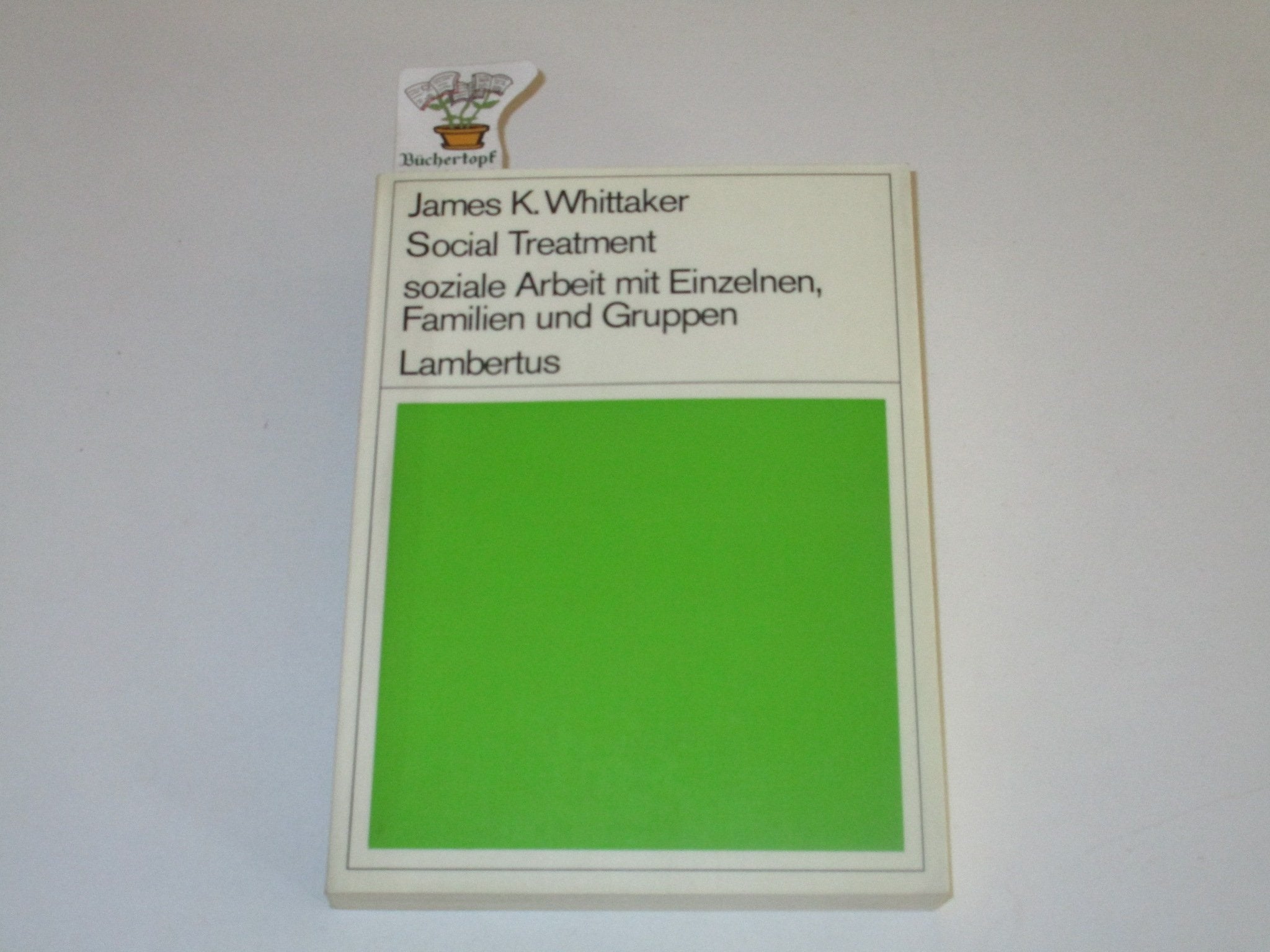 Social Treatment. Soziale Arbeit mit Einzelnen, Familien und Gruppen Social Sciences