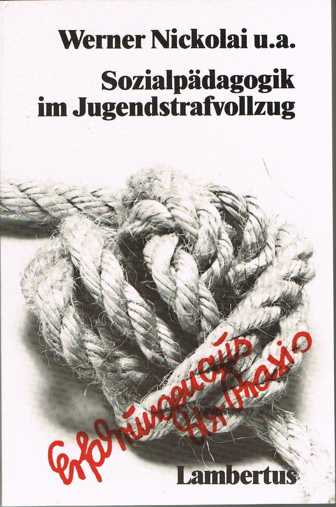 Sozialpädagogik im Jugendstrafvollzug. Erfahrungen aus der Praxis book