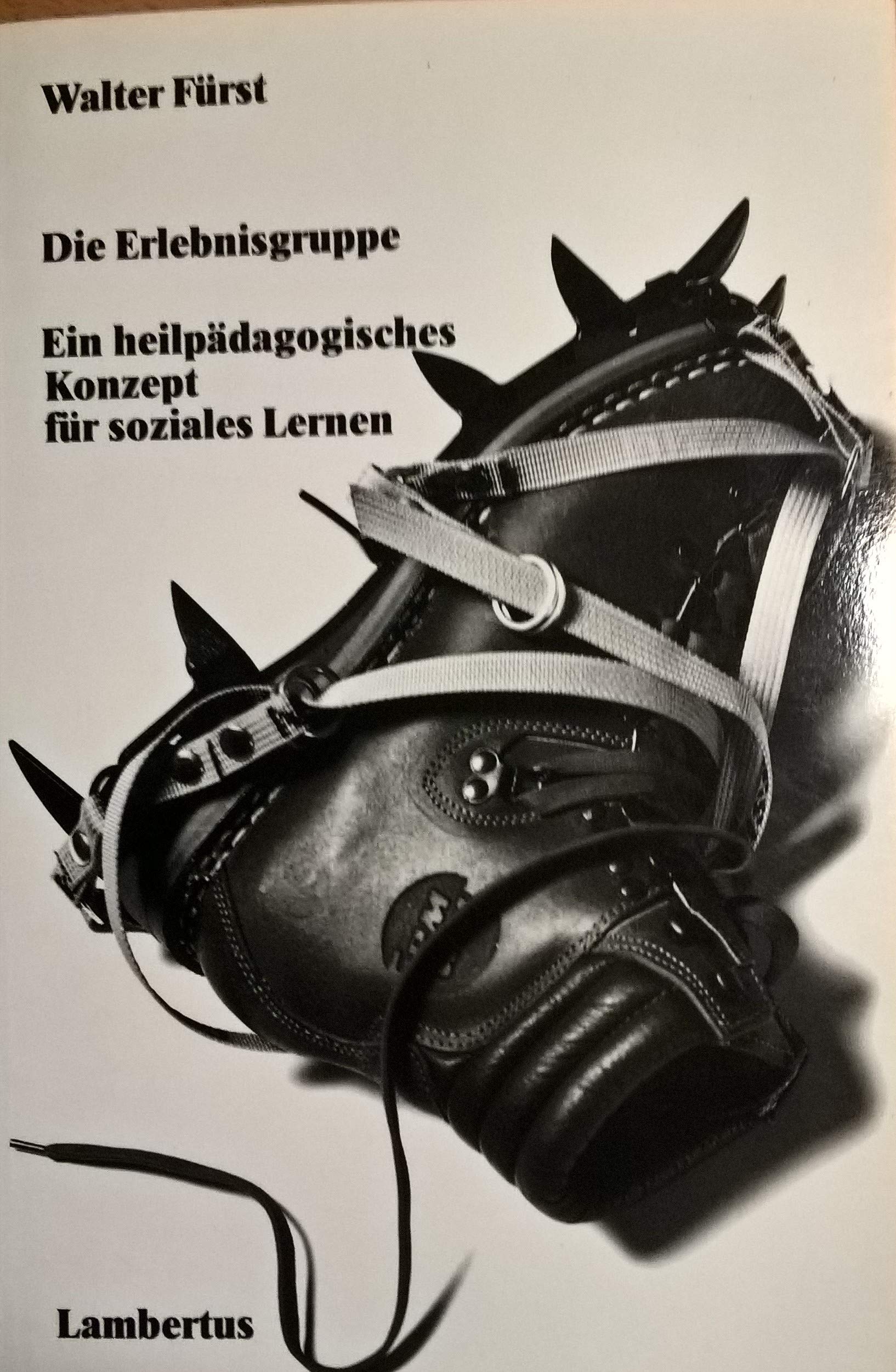 Die Erlebnisgruppe. Ein heilpädagogisches Konzept für soziales Lernen Social Sciences