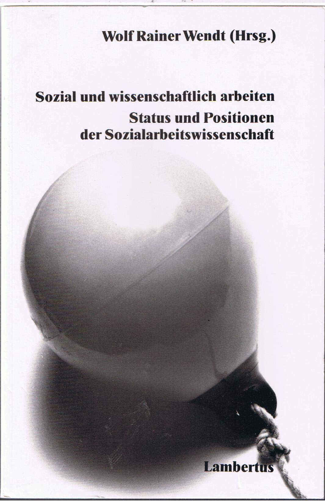 Sozial und wissenschaftlich arbeiten: Status und Positionen der Sozialarbeitswissenschaft Schriftenreihe der Deutschen Gesellschaft für Sozialarbeit Social Sciences