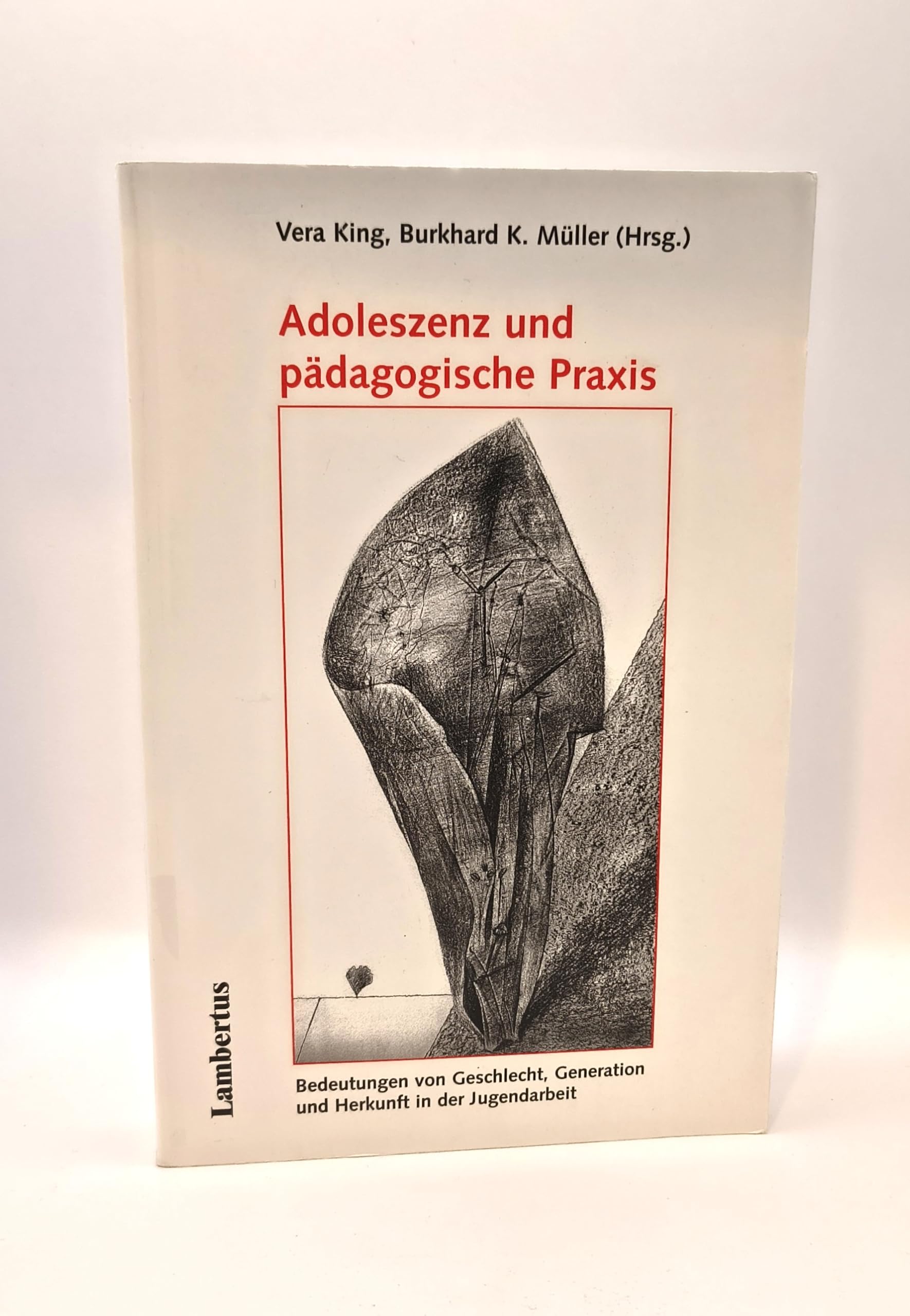 Adoleszenz und pädagogische Praxis: Bedeutungen von Geschlecht, Generation und Herkunft in der Jugendarbeit Social Sciences