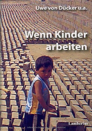 Wenn Kinder arbeiten - Eine sich in Lateinamerika und Deutschland an den Bedürfnissen und Erfahrungen der Kinder messende Neuorientierung Law