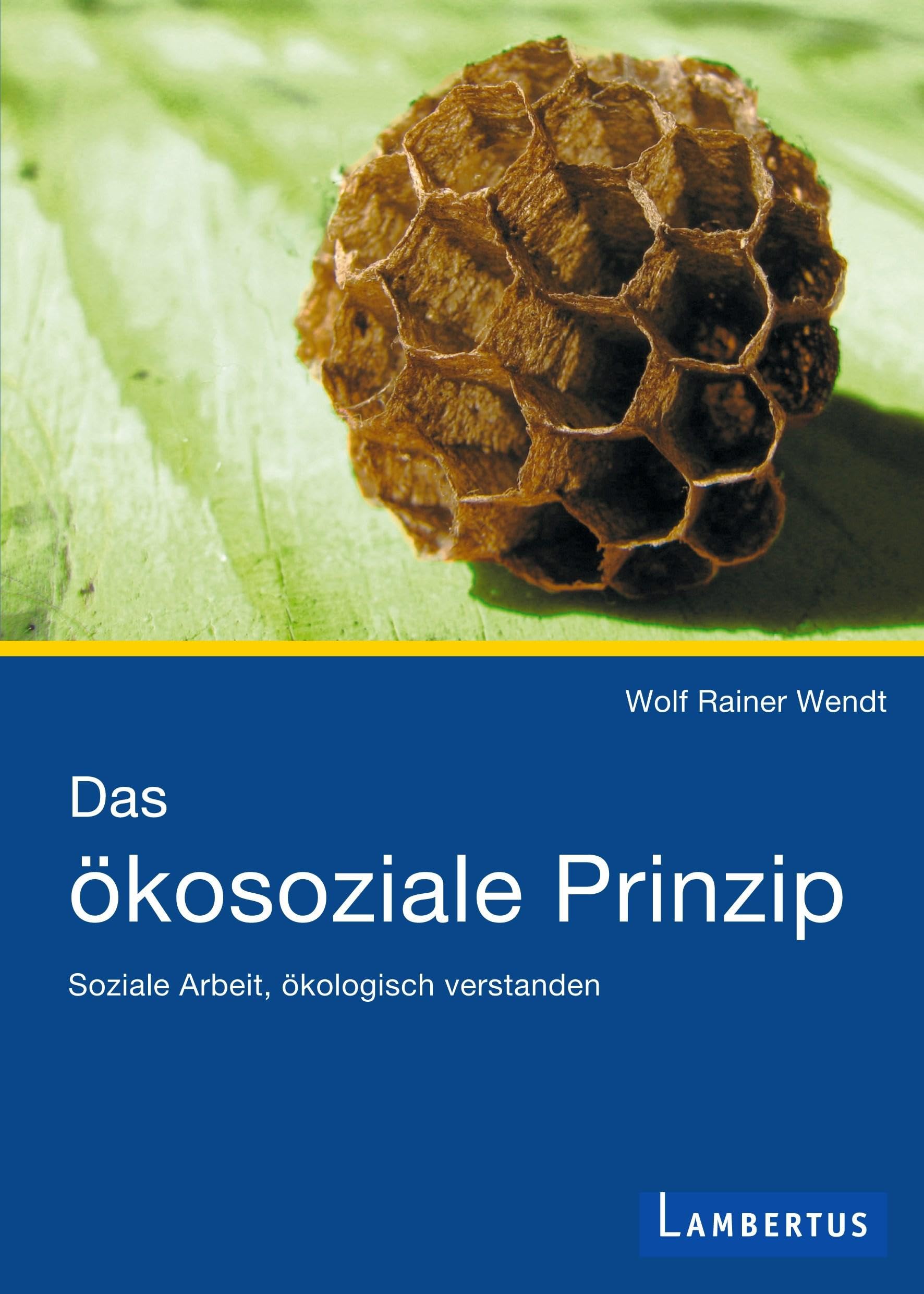 Das ökosoziale Prinzip: Soziale Arbeit, ökologisch verstanden Social Sciences