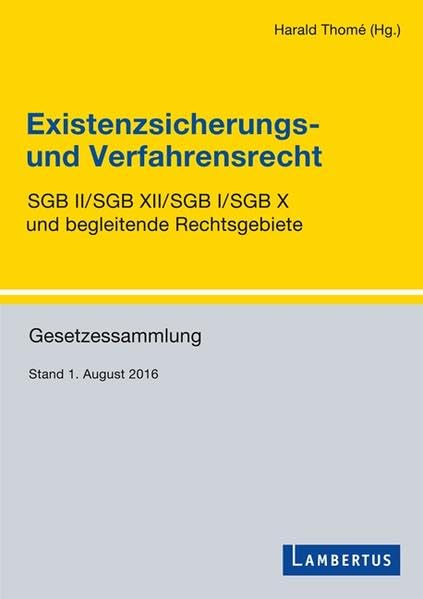 Existenzsicherungs- und Verfahrensrecht Law