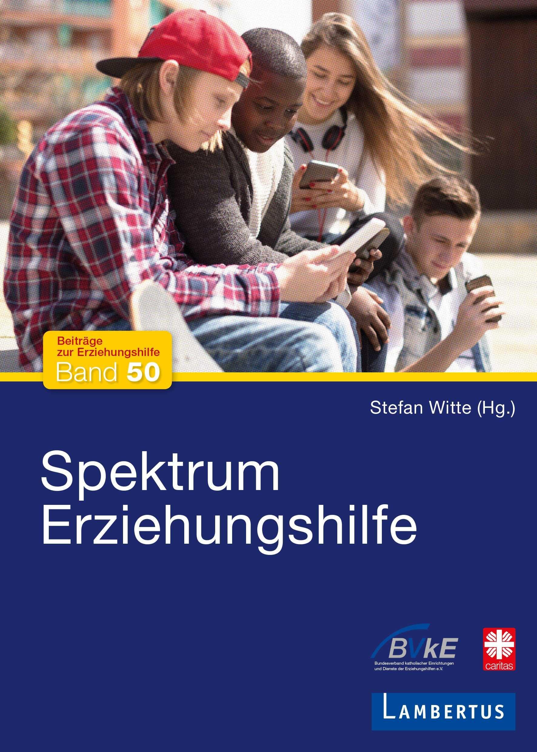 Spektrum Erziehungshilfe (Beiträge zur Erziehungshilfe) Social Sciences