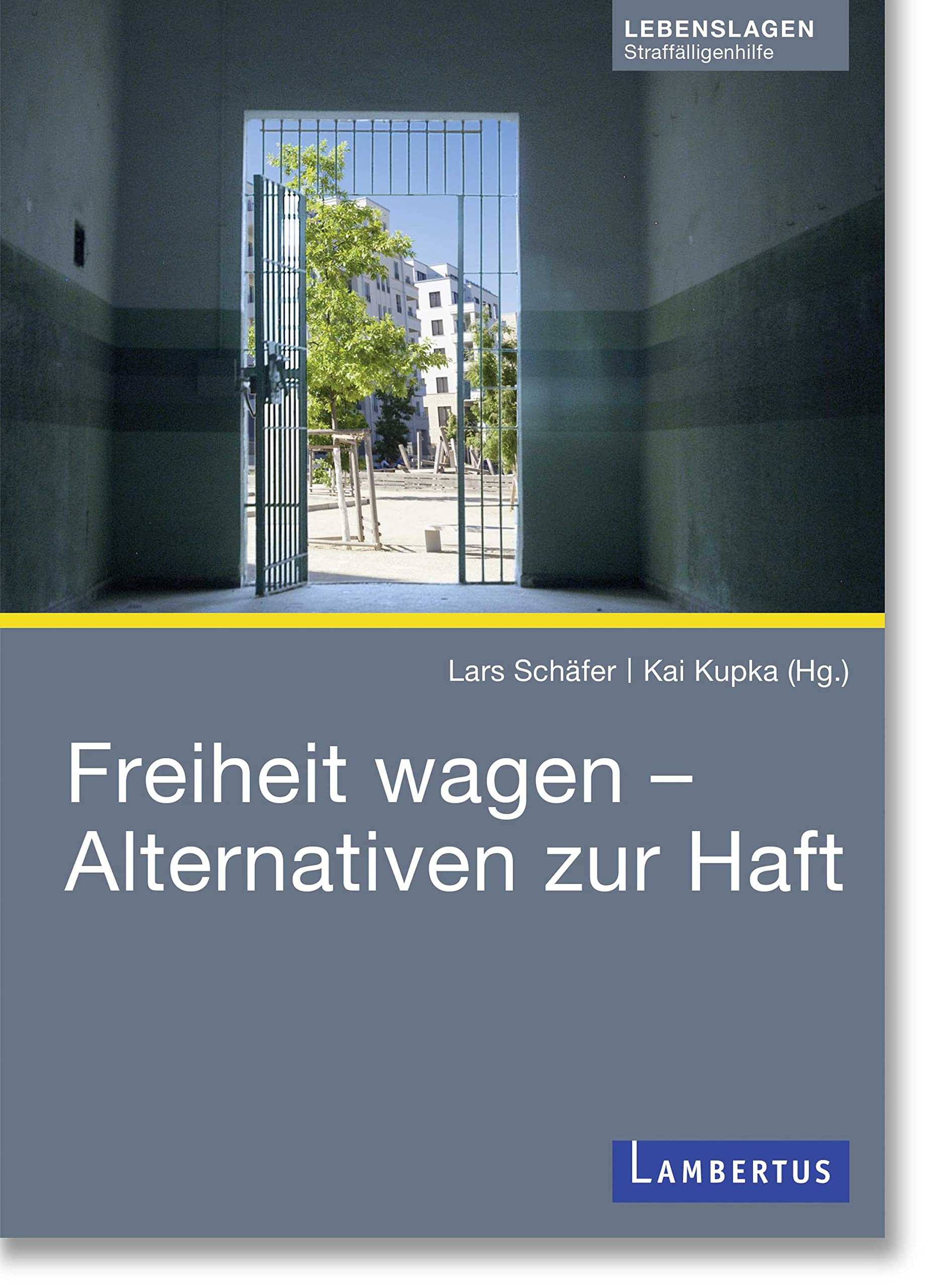 Freiheit wagen – Alternativen zur Haft Social Sciences