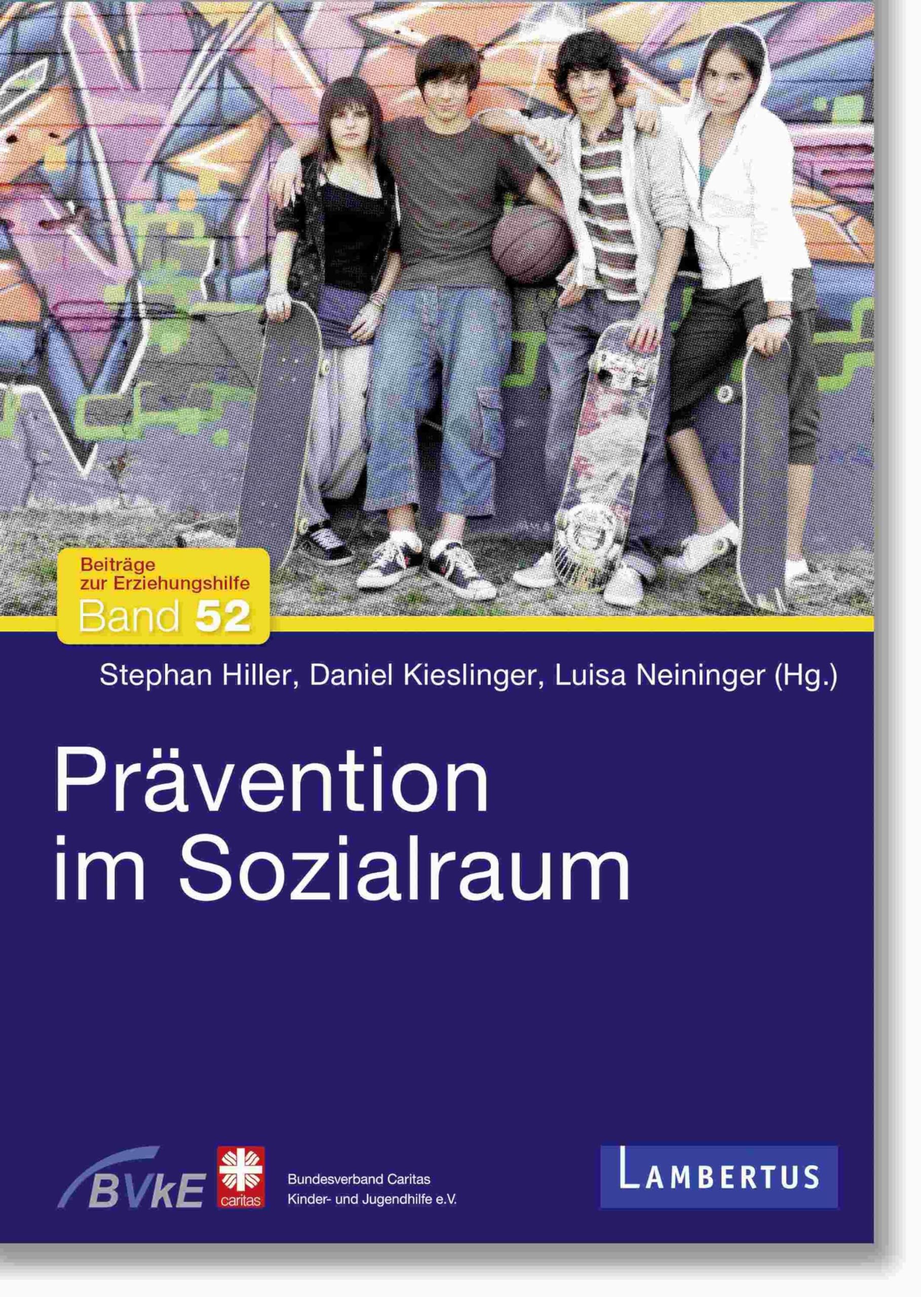 Prävention im Sozialraum (Beiträge zur Erziehungshilfe) Social Sciences