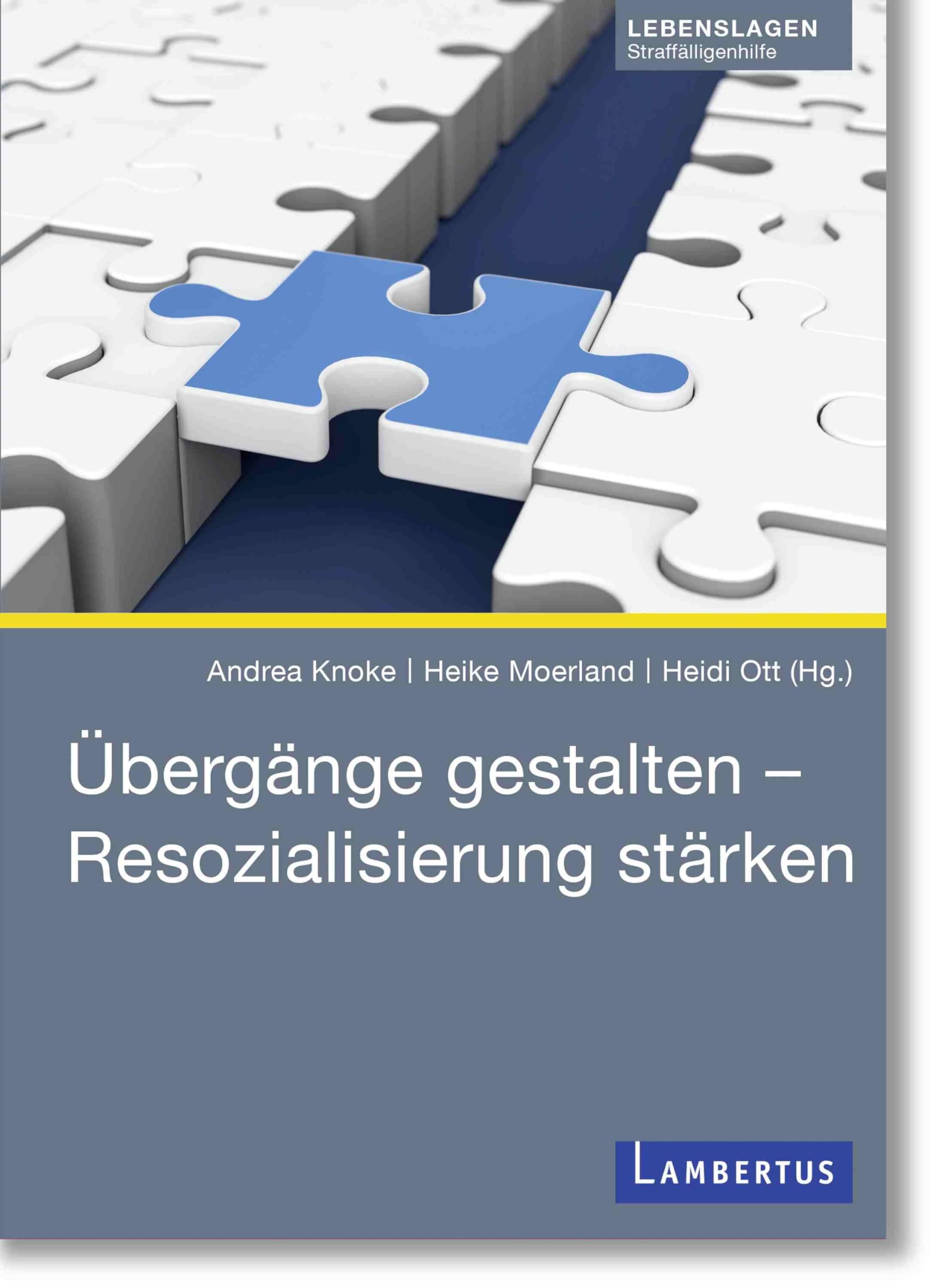 Übergänge gestalten – Resozialisierung stärken: Beiträge aus der Straffälligenhilfe Social Sciences