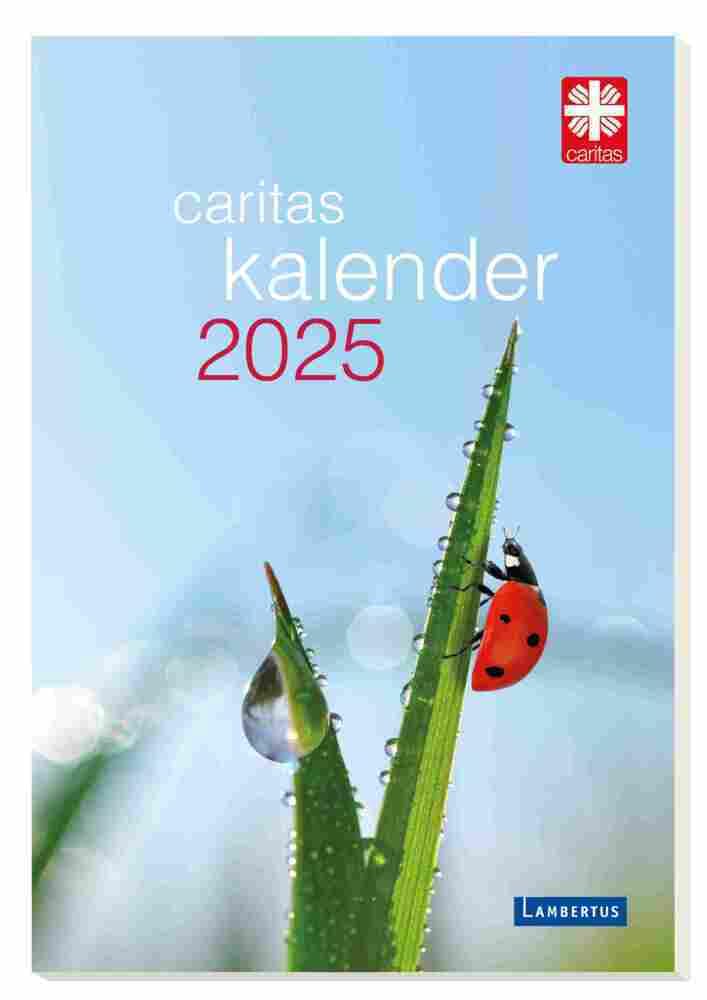 Caritas-Kalender 2025: Das Caritas-Kalenderbuch 2025 Calendars