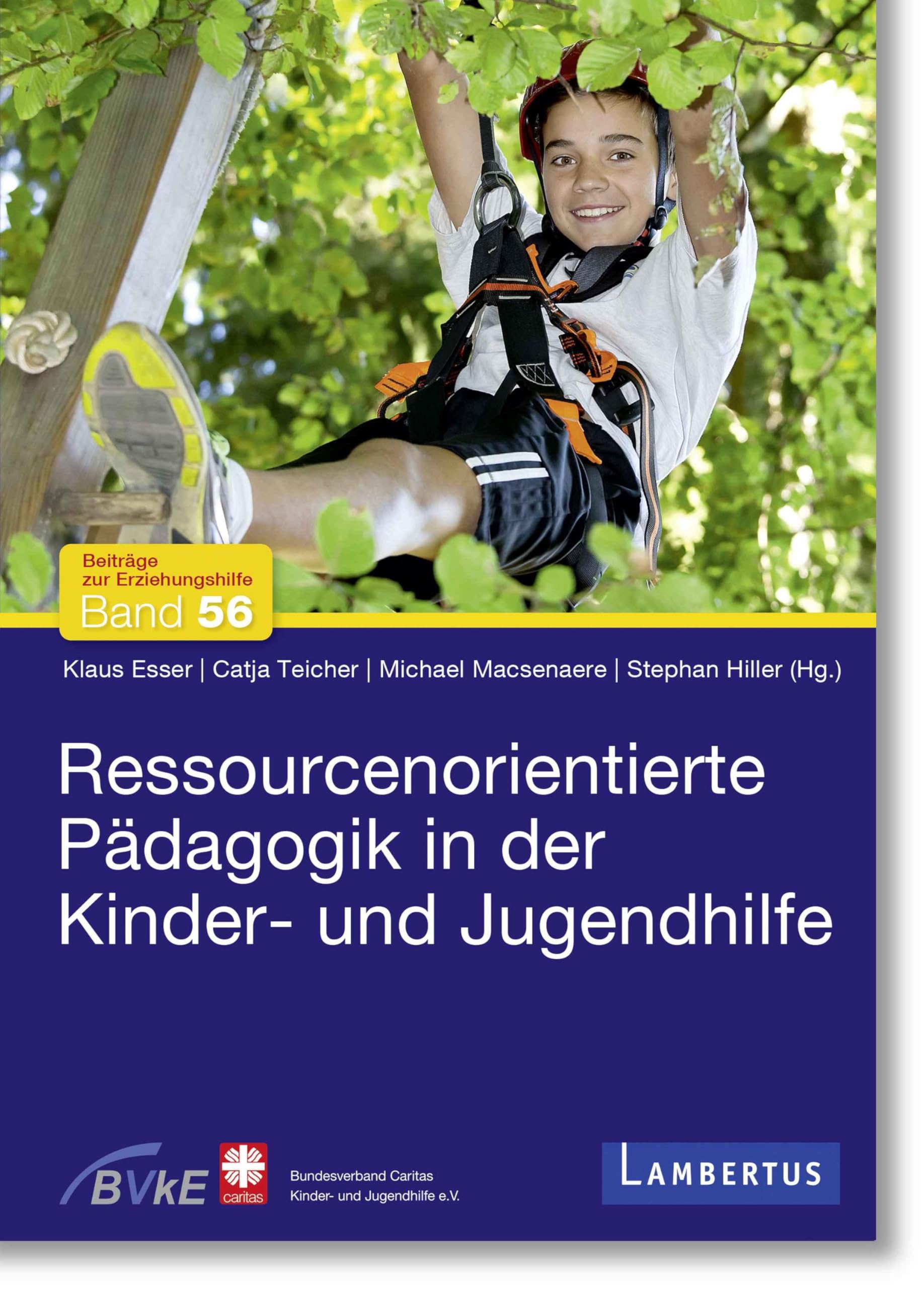 Ressourcenorientierte Pädagogik in der Kinder- und Jugendhilfe Social Sciences